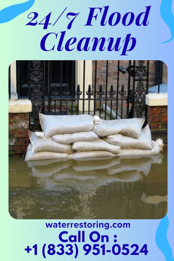 24/7 Flood Cleanup in Pilot Mountain, NC