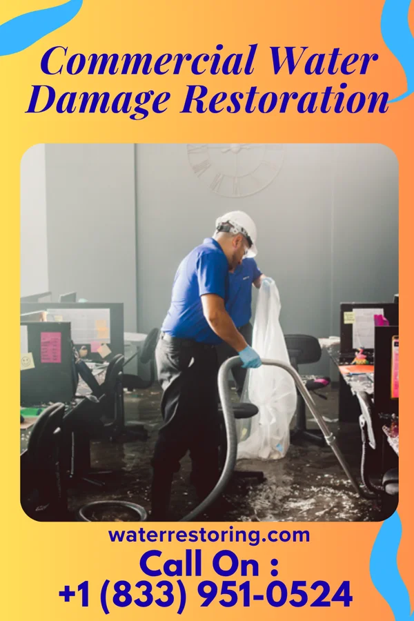 Commercial Water Damage Restoration in Pilot Mountain, NC