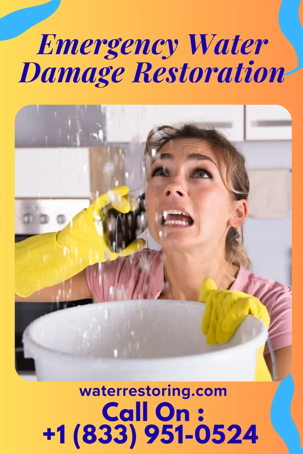 Emergency Water Damage Restoration in Pilot Mountain, NC