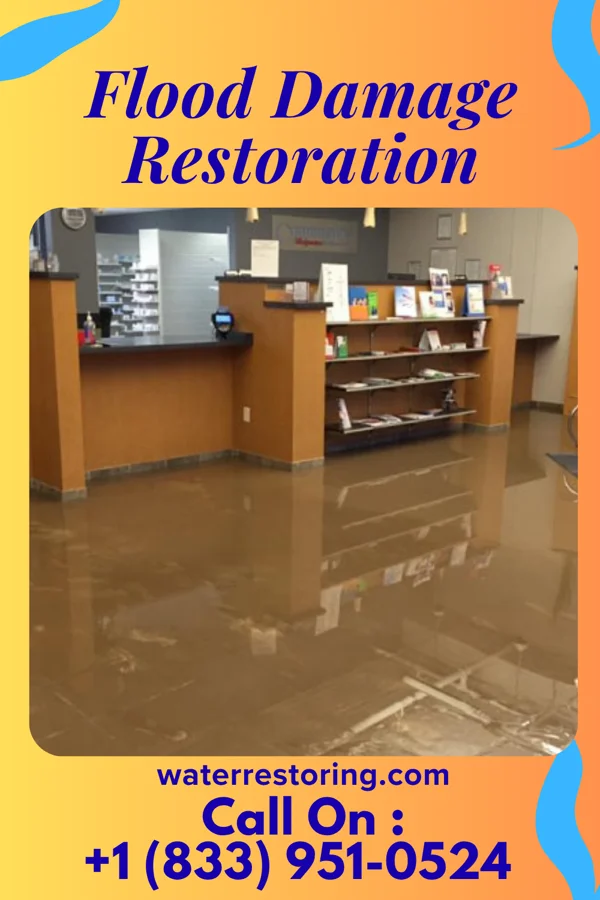 Flood Damage Restoration in Pilot Mountain, NC