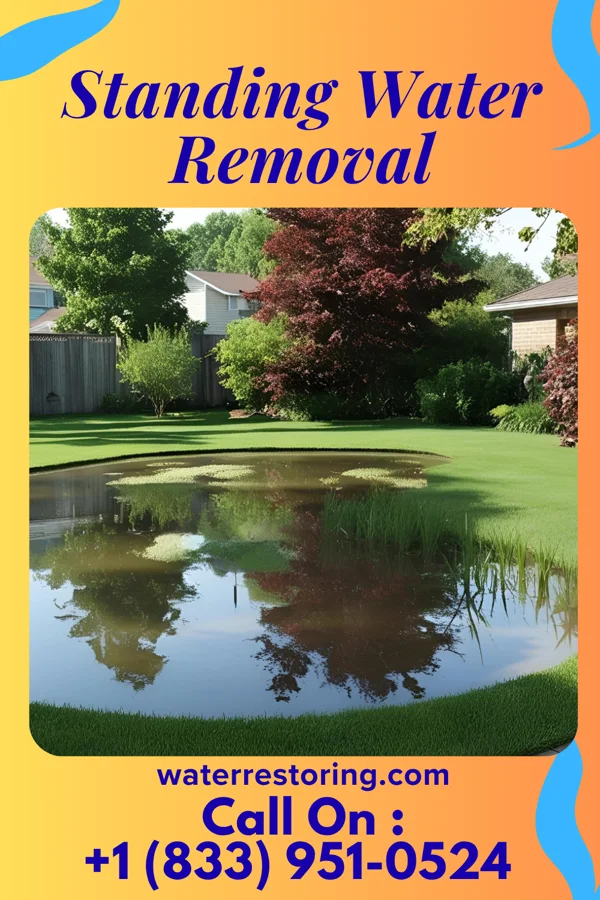 Standing Water Removal in Pilot Mountain, NC